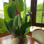 Сasa de vacaciones Casa El Besito *