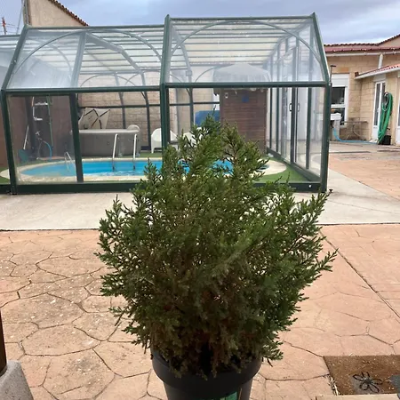 Vut El Besito Campillo de Aranda